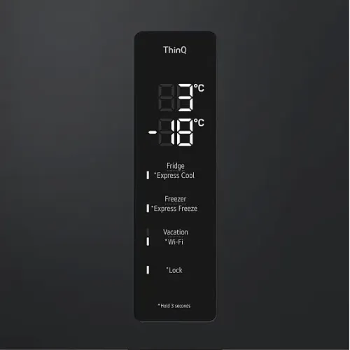 Холодильник LG GC-B509FTZW