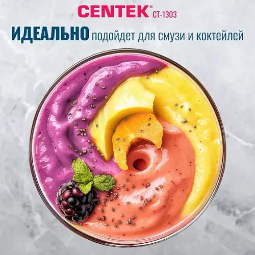 Блендер CENTEK CT-1303