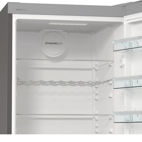 Холодильник GORENJE R619EAXL6