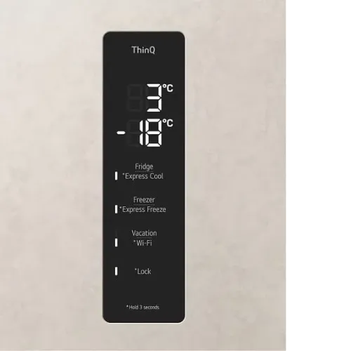 Холодильник LG GC-B509FEPW