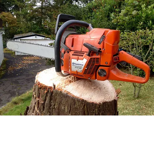 Бензопила HUSQVARNA 372 xp® x-torq (9657029-18)