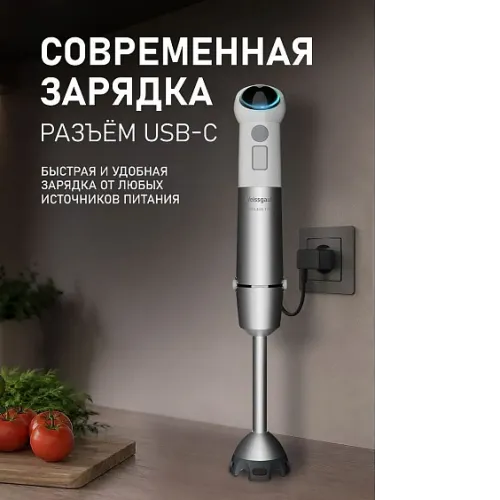 Блендер WEISSGAUFF WHB 341 PTW CordLess Titan