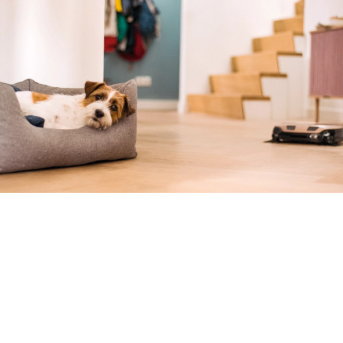 Пылесос MIELE Scout RX3 Home Vision HD