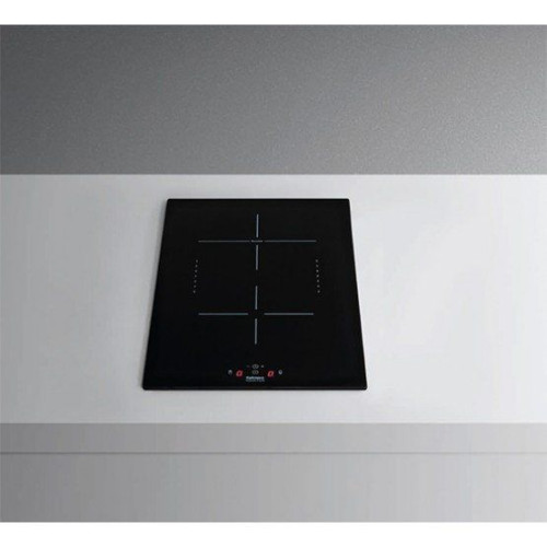 Поверхность FALMEC PIANO INDUZIONE 31x52