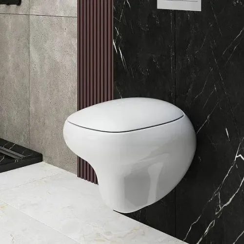 Унитаз AMBASSADOR Diamond 123T21001R