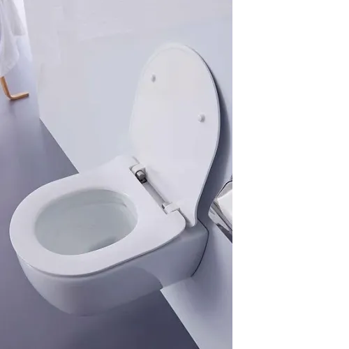 Унитаз SSWW CT2038V