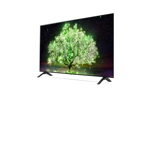 Телевизор LG OLED48A1RLA