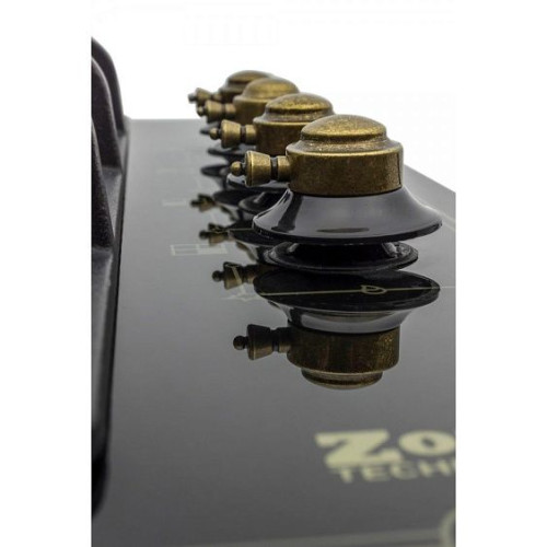 Варочная панель ZorG BP3 FD RBL