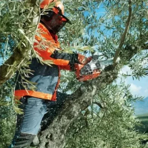 Бензопила HUSQVARNA Т435 (1.5кВт/2.0 л.с., X-TORQ, 12 , 3/8 ) 9669972-12