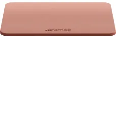 Камень для пиццы SMEG STONE2