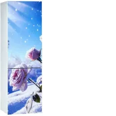Холодильник ОРСК 175 B Glass ROSE