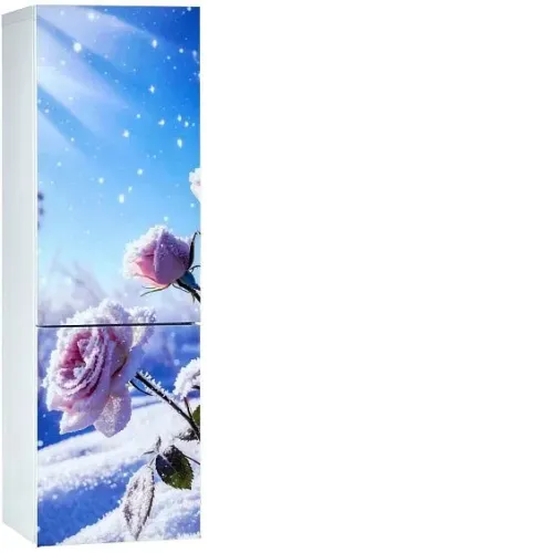 Холодильник ОРСК 175 B Glass ROSE