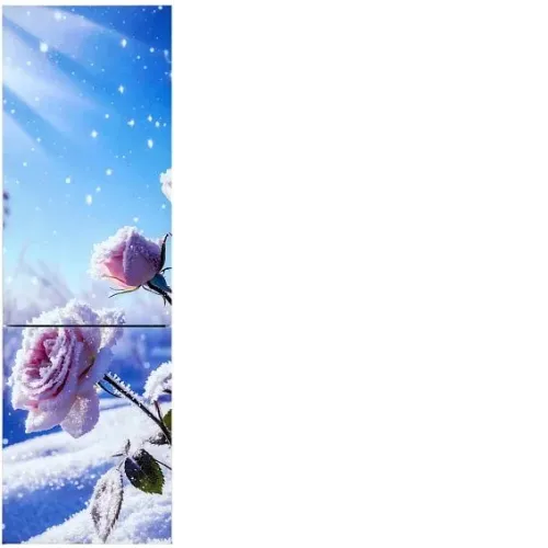 Холодильник ОРСК 175 B Glass ROSE