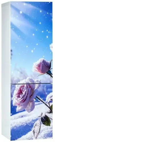 Холодильник ОРСК 177 B Glass ROSE