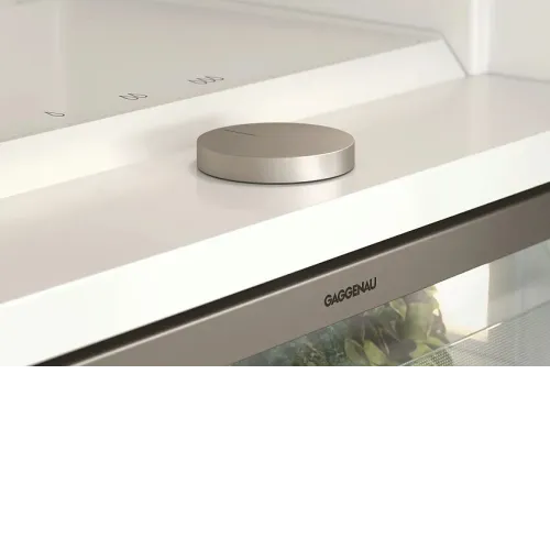 Холодильник GAGGENAU RB289300
