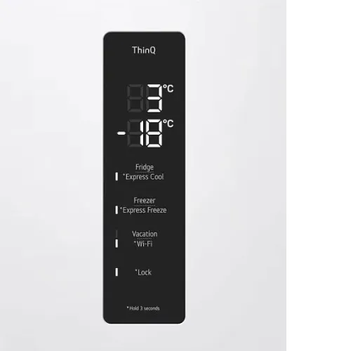 Холодильник LG GC-B509AQQW