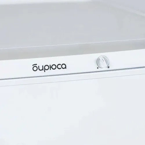 Холодильник БИРЮСА 553