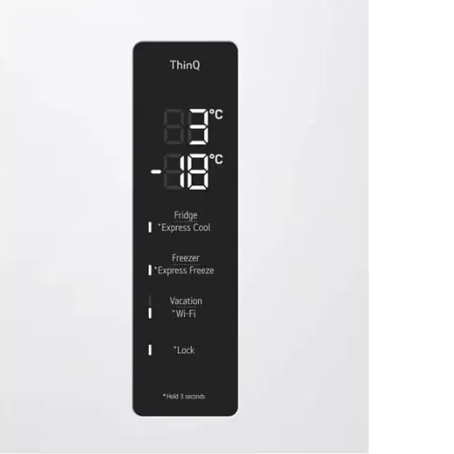 Холодильник LG GC-B509FQQW