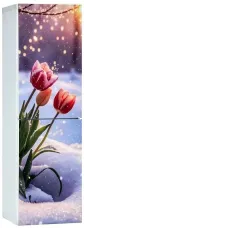 Холодильник ОРСК 177 B Glass TYLPAN