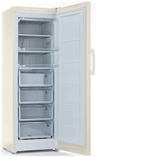 Морозильная камера INDESIT DSZ 5175 E