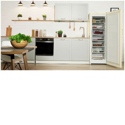 Морозильная камера INDESIT DSZ 5175 E